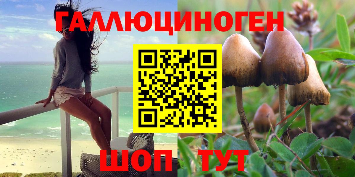 Бирск  Галлюциногенные грибы Psilocybine cubensis  Вход с VPN 