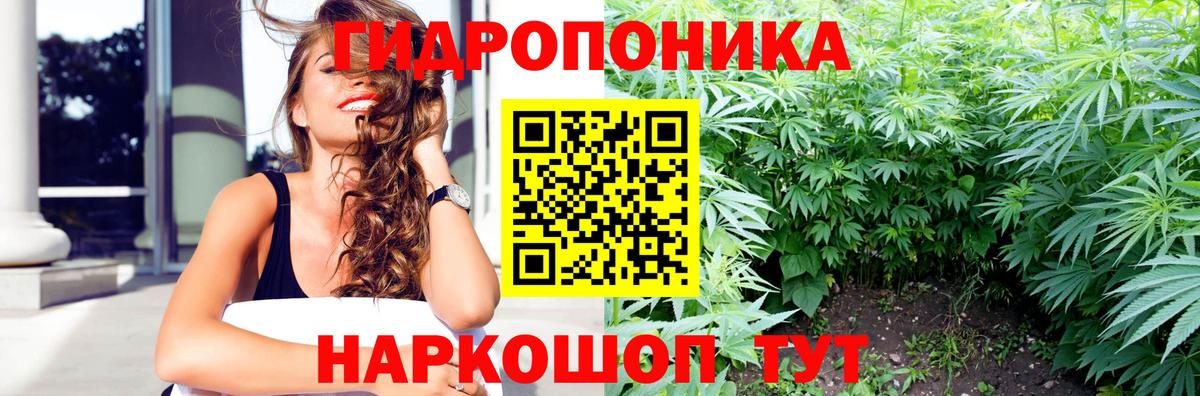 Конопля White Widow Бирск